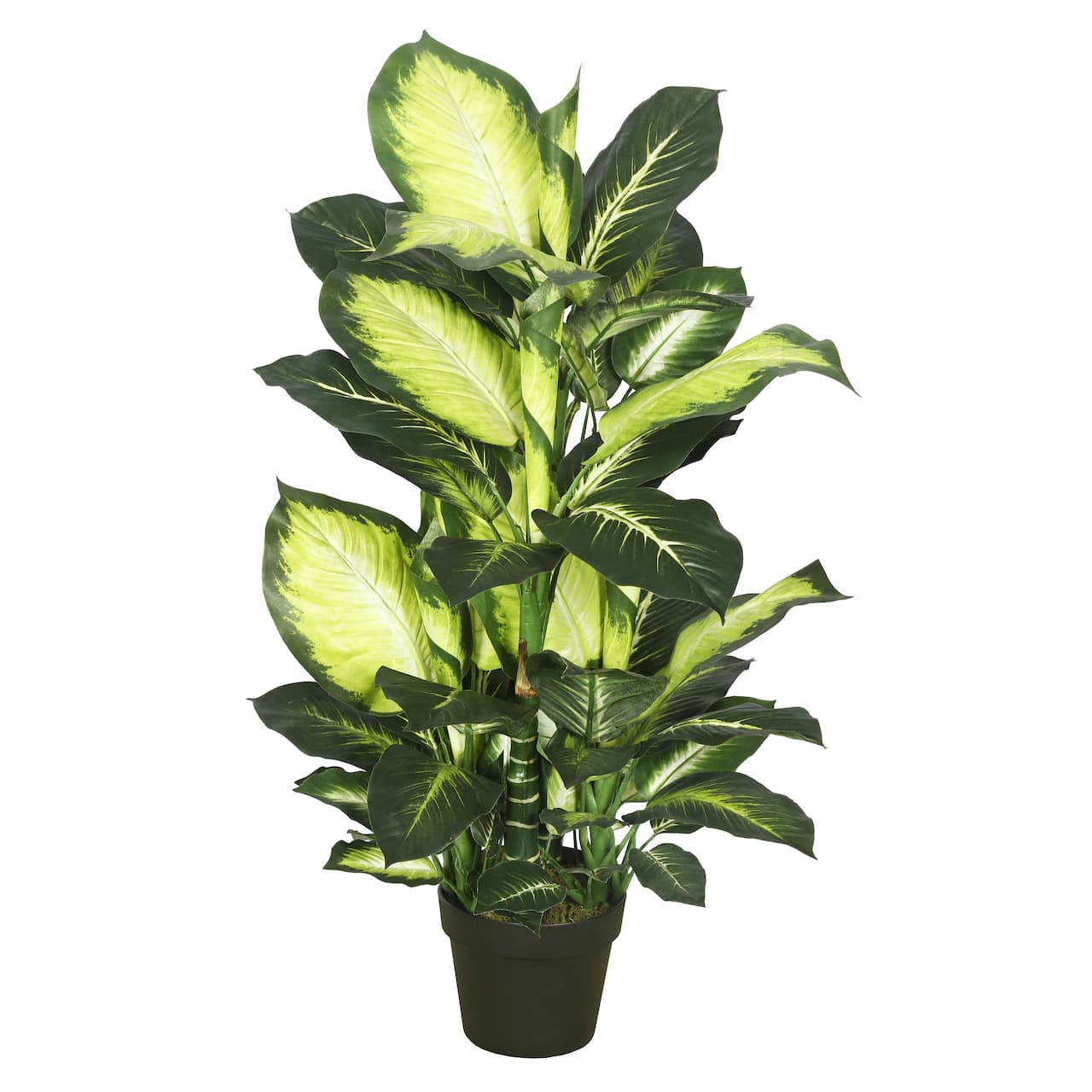 3.3ft. Potted Artificial Green & White Dumb Cane Tree